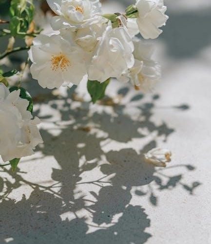 botany in a day pdf