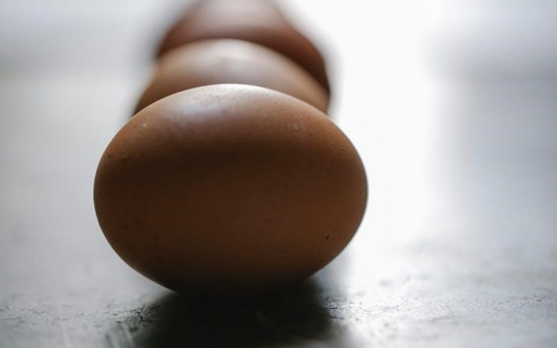 it starts with the egg pdf free download